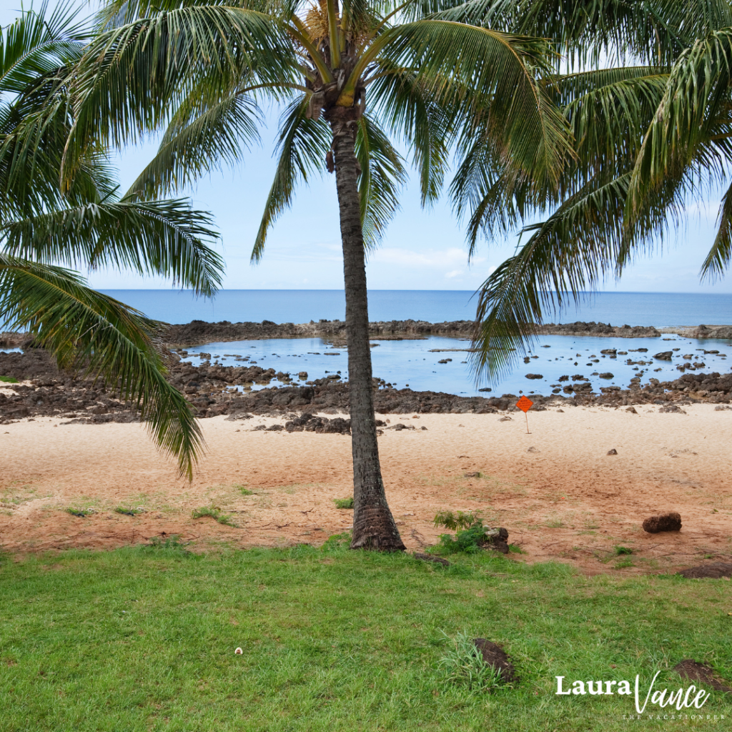 photos of Shark's Cove on Oahu